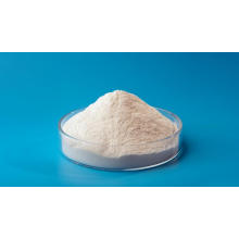 Thiamine Nitrate salt Vitamin B1 food additives